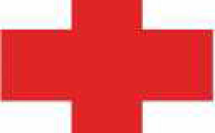 St. Rose School to host pint-size hero blood drive on Saturday, February 4