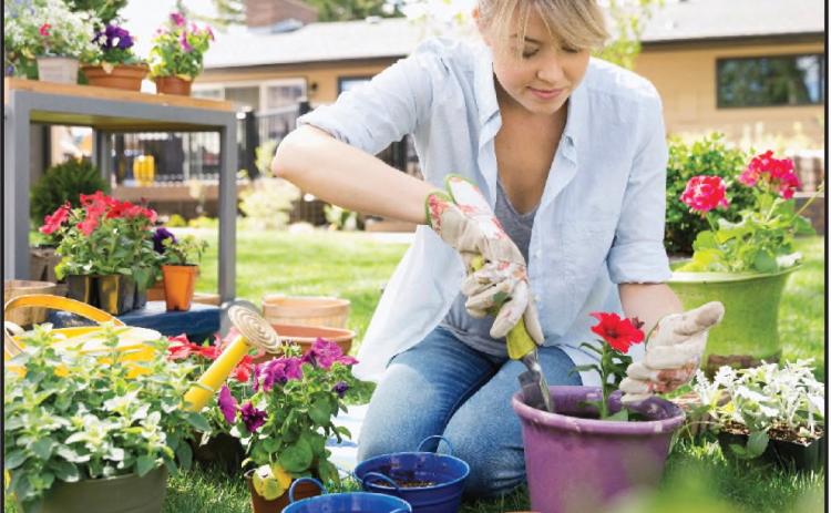 Tom Strain & Sons and Daughter Too can help make your yard, garden beautiful