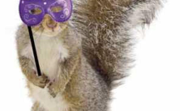 Guests of the fund-raiser are invited to dress as their favorite animals with costumes, masks or animal print attire.