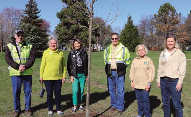 City representatives plant tree to honor Arbor Day