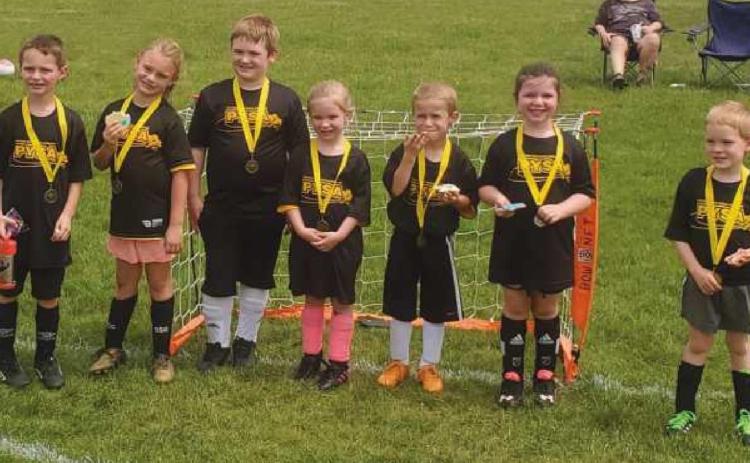 PYSA Buzzers finish out the soccer season