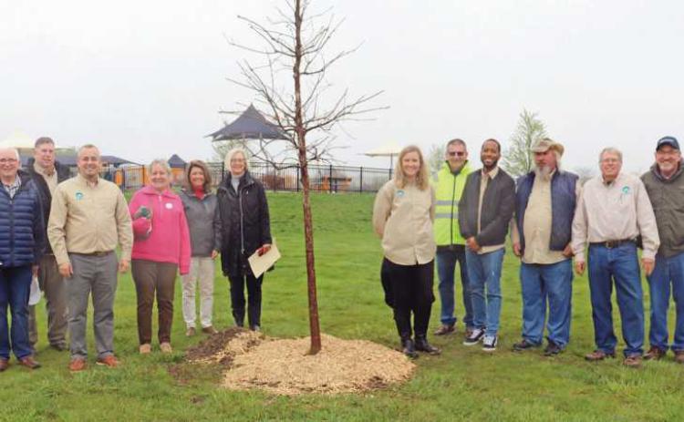 Tree planted at Rotary Park on Arbor Day