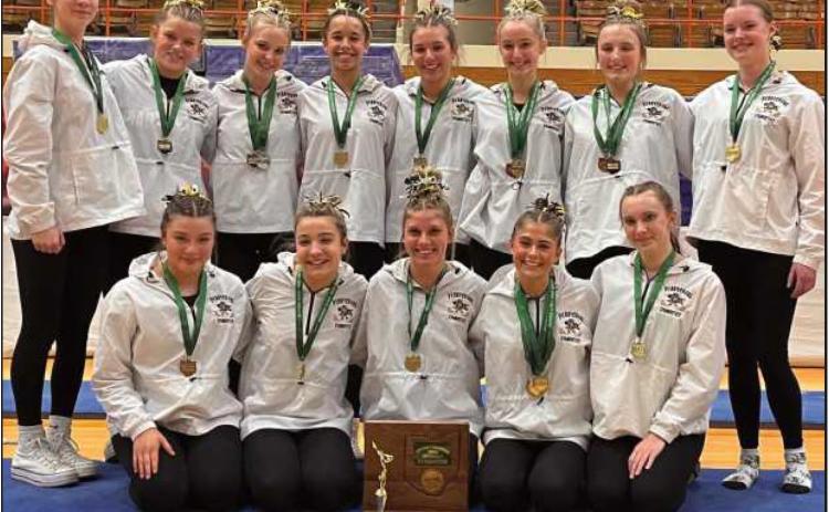 PHS gymnasts place ninth at state competition
