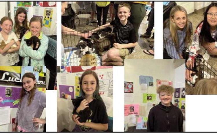 HPI students help 11 pets find forever homes