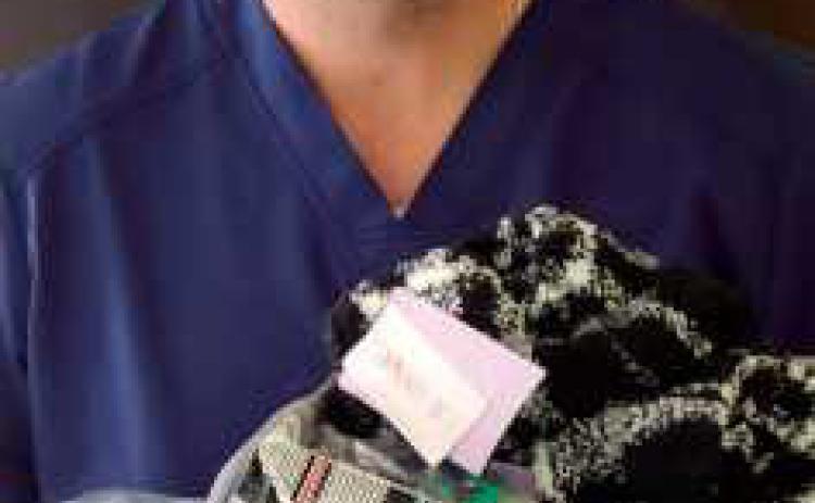 PflegMed collection drive benefits Hannah’s Socks