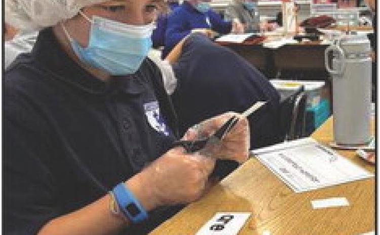 St. Rose students participated in many STEM-related activities throughout the school year to qualify for the Thomas Edison Award for Excellence.