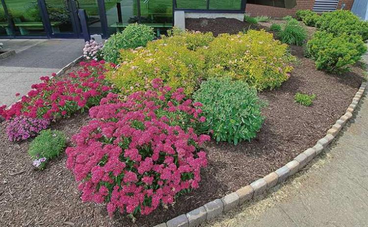 Country Garden Club of Perrysburg accepting 2025 project proposals