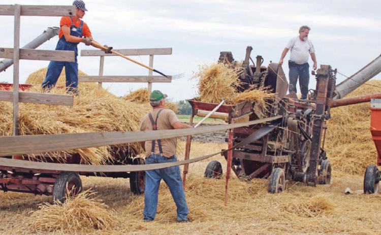 Five Point Steam Threshers celebrate 60 years