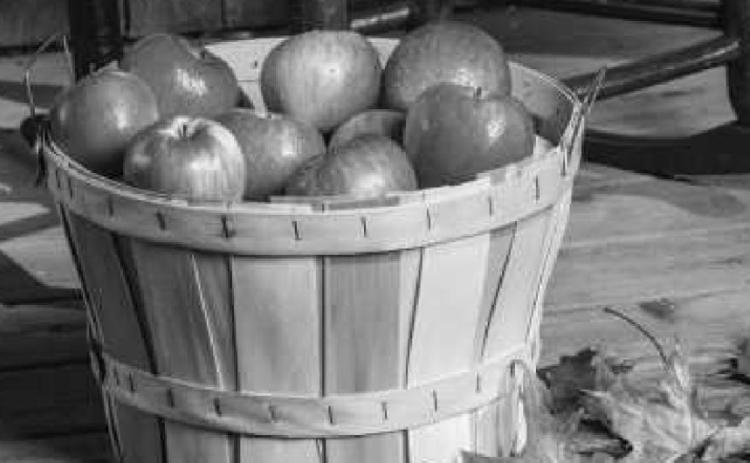 MacQueen Orchards’ fall festival returns
