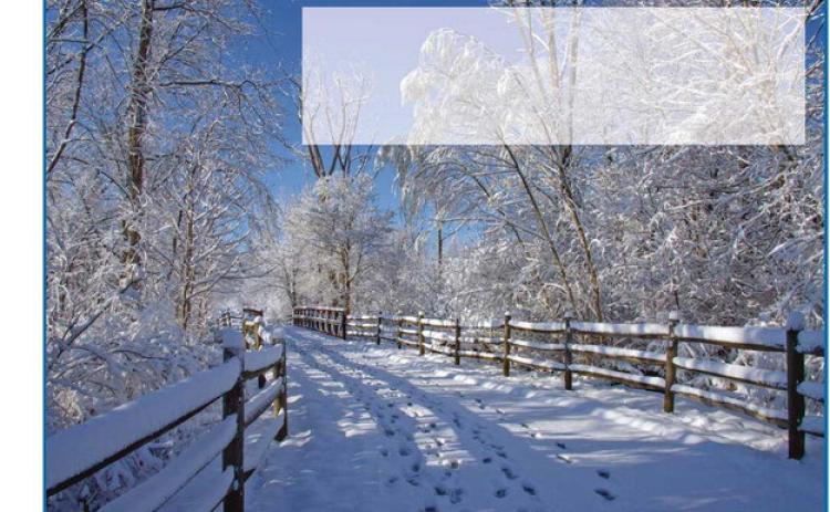 Live in each season as it passes; breathe the air, drink the drink, taste the fruit, and resign yourself to the influence of the earth. —Henry David Thoreau