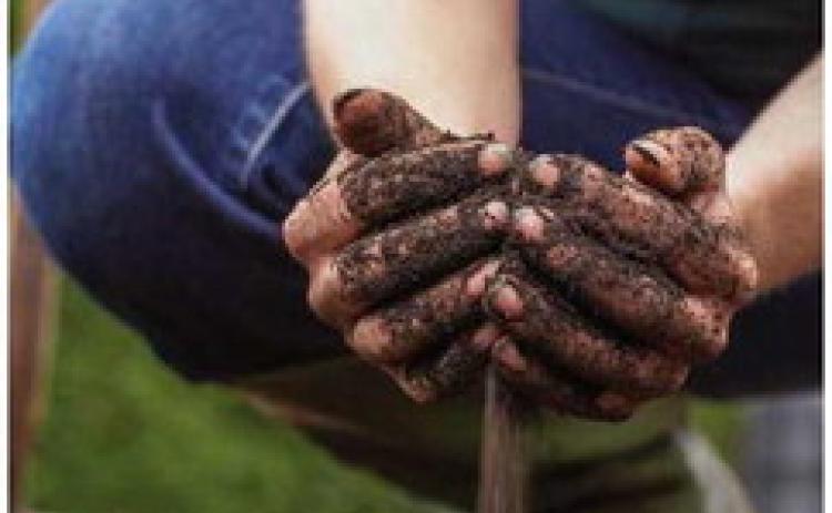 How to prepare soil for spring planting