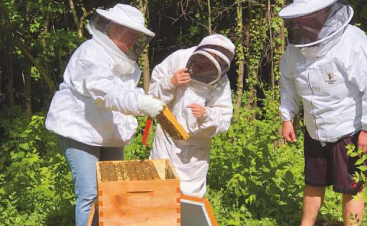 577 Foundation beekeeping program receives grant