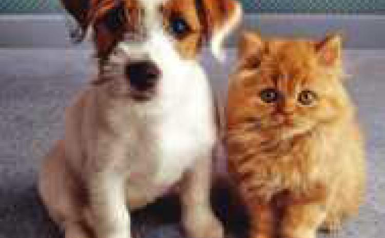 Humane Society to host summer camps