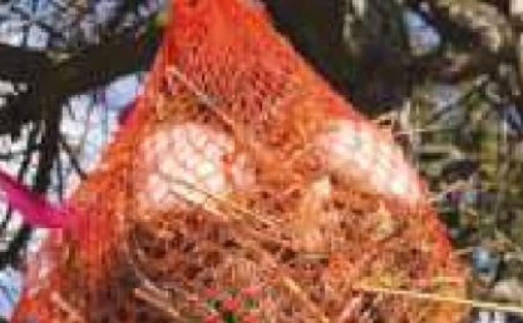 Easy nest building bundle bags
