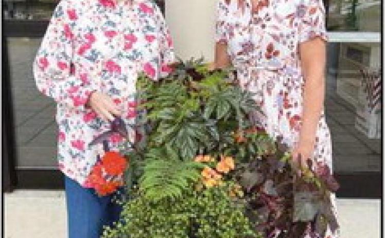 Garden Club beautifies Way Library entrance