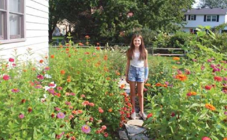 Creating a space for monarchs to thrive