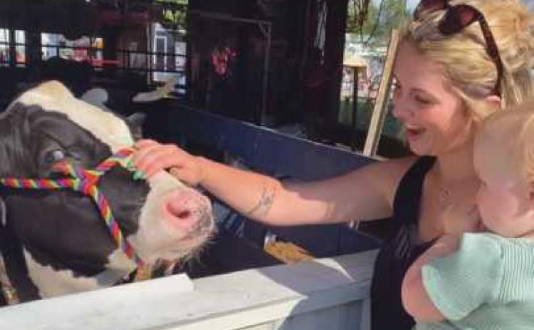 150th Wood County Fair held in Bowling Green
