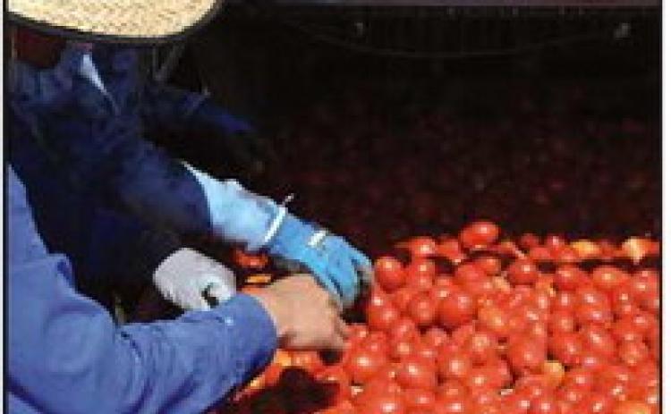 Fulton County Breakfast on the Farm to be held Saturday, June 24
