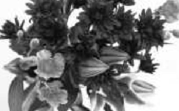 Ability Center to host Mother’s Day flower sale