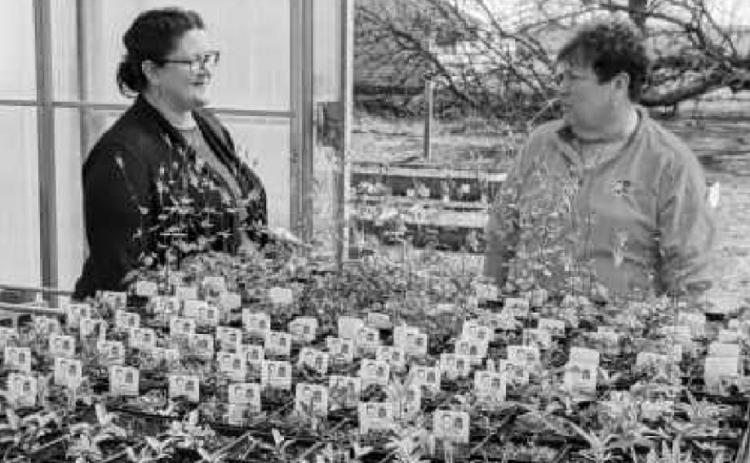 Discussing some of the native plants that will be available for sale are, left, Diana Ziems, park district administrative assistant, and park commissioner Sandy Wiechman.