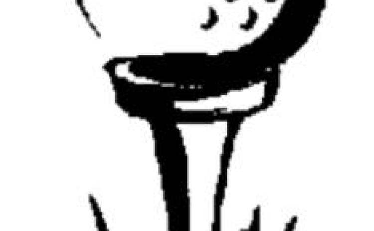 Alt Text for Image