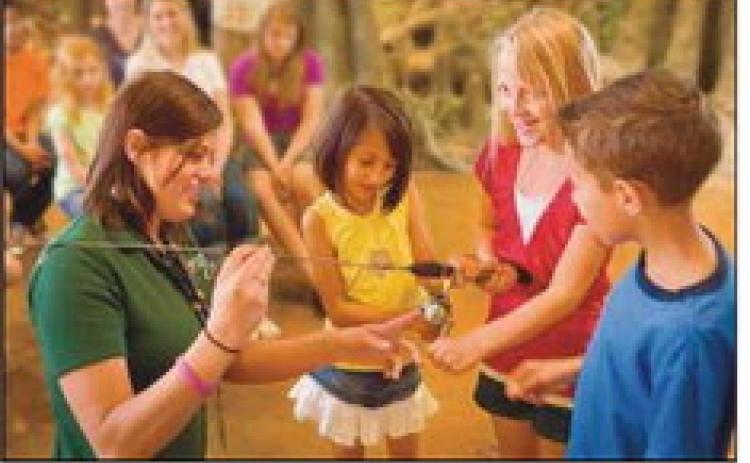 Bass Pro to host free kids’ weekend activities Mar. 22-23