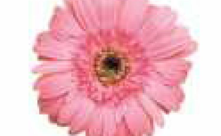 Bedford garden tour is July 8