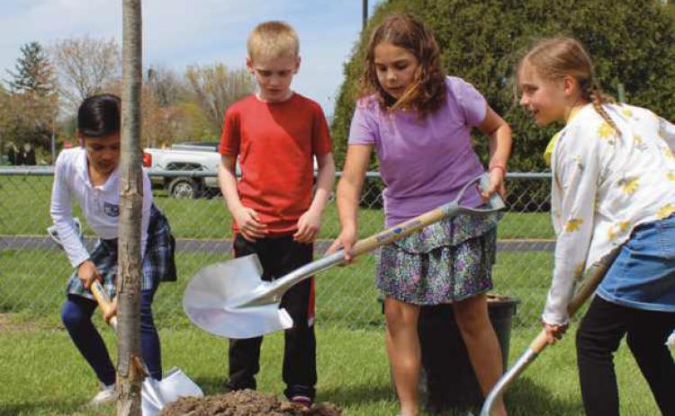 Perrysburg celebrates Arbor Day with tree plantings, banner contest