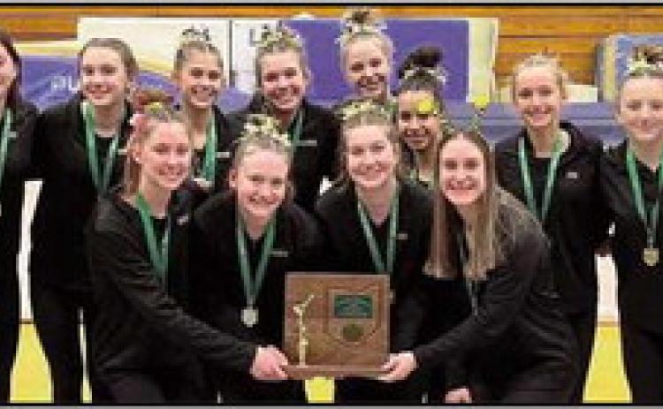 Yellow Jacket gymnasts win district championship