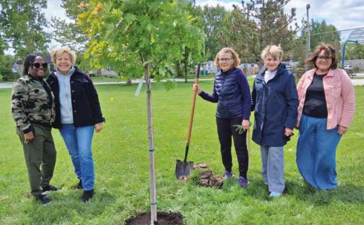 Shelly, Judy, Joanne, Jackie and Kathy planting a beautiful “Autumn Blaze” red maple, on the grounds of the Perrysburg Heights Community Association.