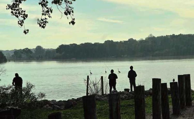 Local fishermen at Orleans Park, with blue heron cranes in the background, taken by Sharon Black on May 26.