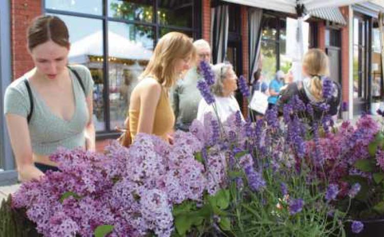 ‘Visit Perrysburg Market Days’ draws opening day crowd