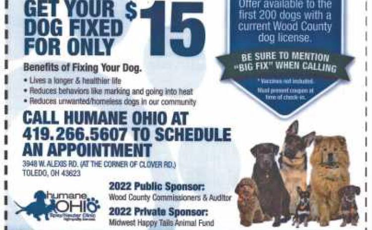 Big Fix pet spay/neuter program records another successful year