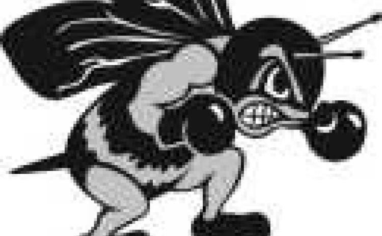 PHS volleyball Perrysburg girls varsity volleyball team defeated Anthony Wayne in three games, 25-15, 25-18, 25-17; and then defeated Northview 25-21, 21-25, 25-21, 25-17.