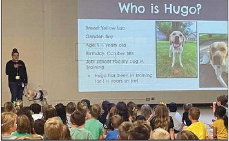 Brittney Murphy introduces Hugo at a school assembly.