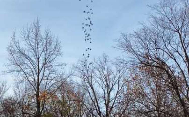 A drone will drop foam turkeys during the Wood County Museum’s fund-raising event.