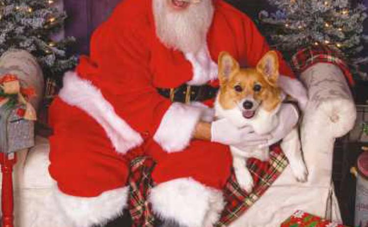 Nature’s Nursery to offer pet photos with Santa
