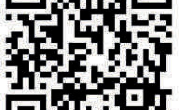 Alt Text for Image