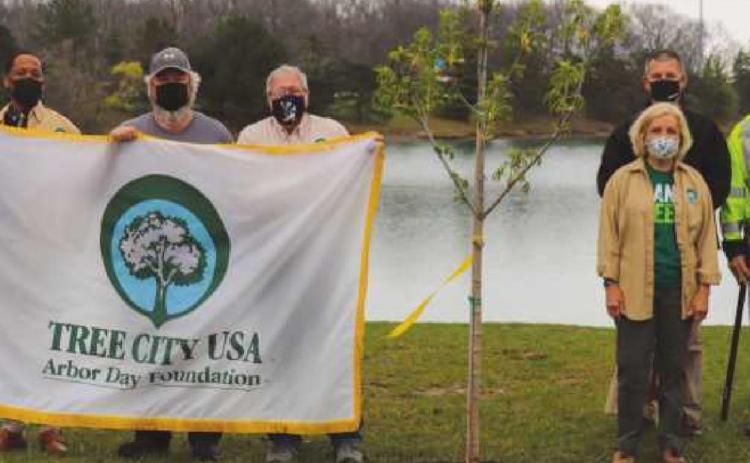 Helping the planet on Arbor Day