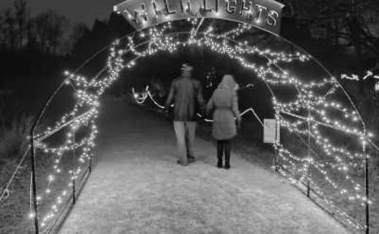 Visit Wild Lights January 19-21 at W.W. Knight Preserve.