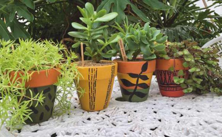 577 Foundation is offering holiday houseplants for sale while supplies last.