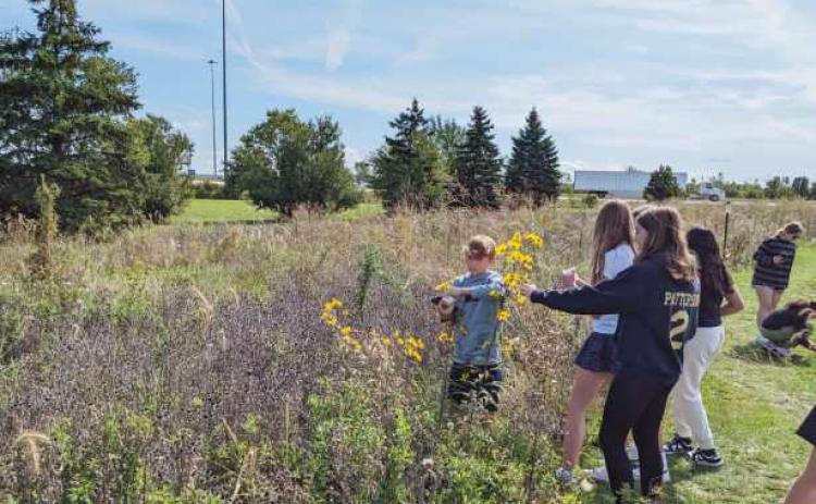 Students in the prairie outdoor learning environment at Perrysburg Junior High School.