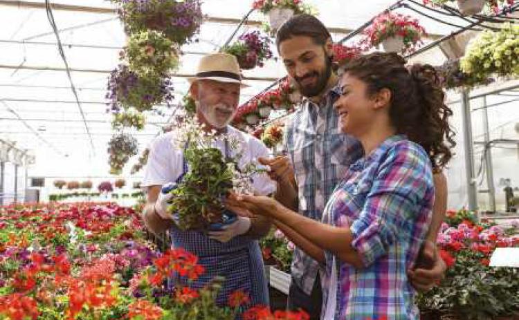 Benefits of planting native species in your yard